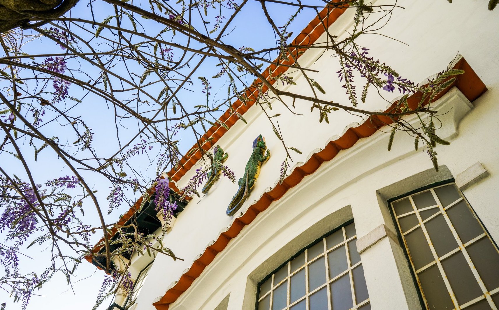 Museu Rafael Bordalo Pinheiro Caldas Da Rainha